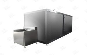 IQF belt tunnel freezer manufacturer