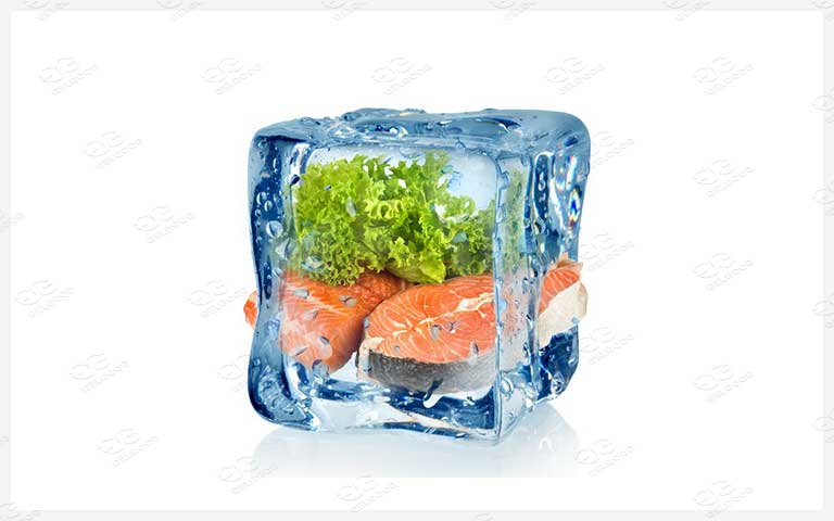 seafood freezing machines price
