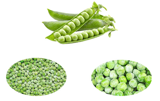 https://www.gelgoogfreezer.com/wp-content/uploads/2020/09/frozen-green-peas-process-line.jpg