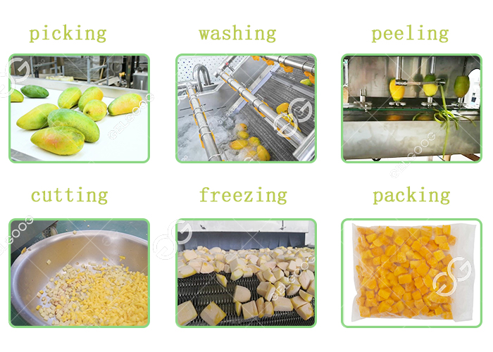 frozen mango processing line