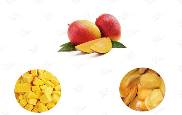 Tailored Frozen Mango Process Line - IQF Tunnel Freezer Manufacturer