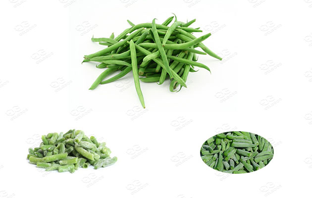 iqf freezer for frozen green beans making