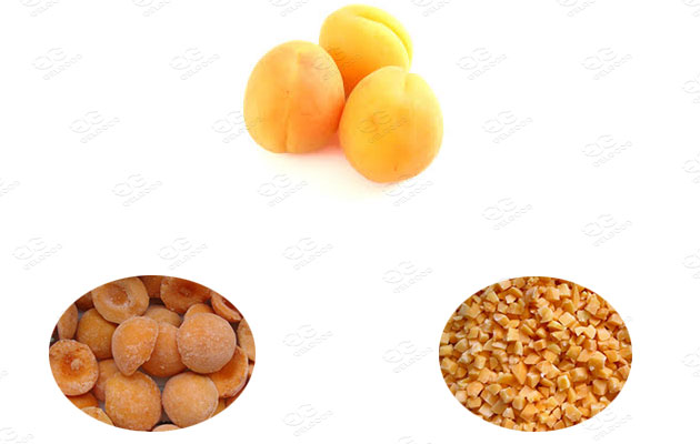 iqf frozen apricots freezing systems