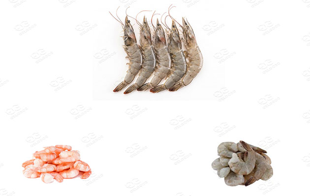 iqf frozen shrimp freezing machine