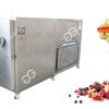 vacuum freeze dryer manufacturers