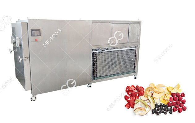 Industrial Small Vegetable Fruit Food Vacuum Dryer/freeze Drying