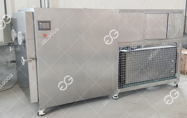 China Fruit and Vegetable and Meat Vacuum Freeze Drying Machine