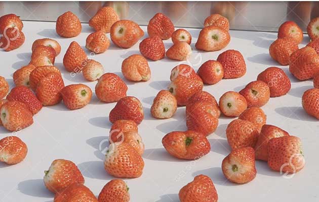 process for freezing strawberries