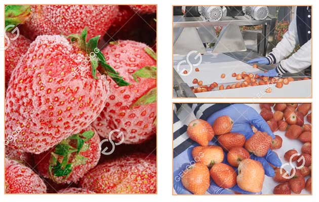 process for freezing strawberries