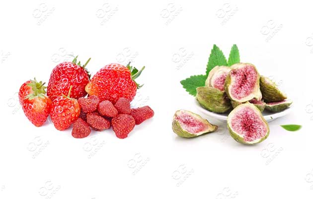 freeze-drying-strawberries-machine-and-fig-freeze-dryer-