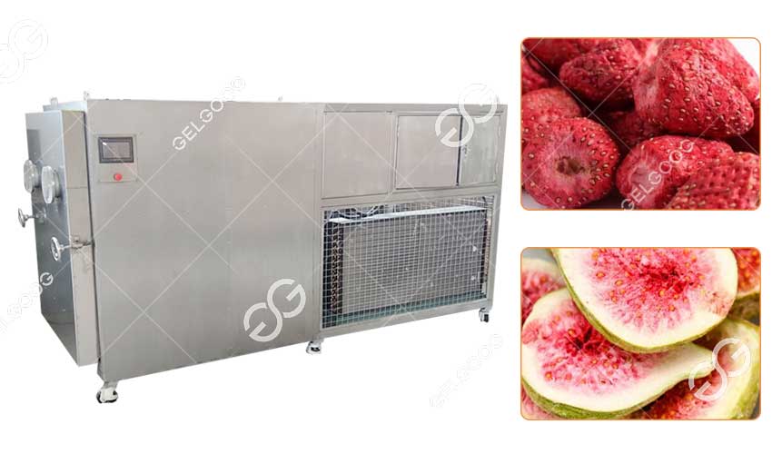 vacuum-freeze-drying-strawberries-machine-details