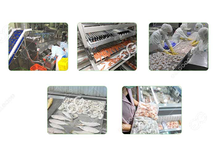  shrimp processing lines