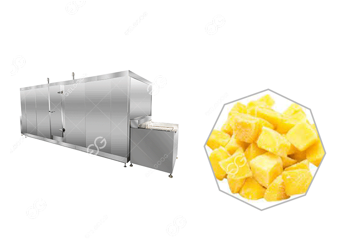 mango-processing-machine