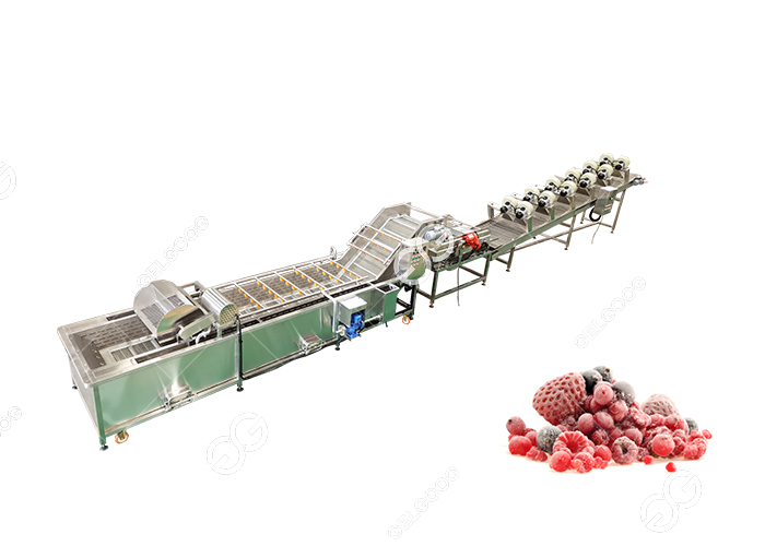 Frozen-strawberry-processing-line-