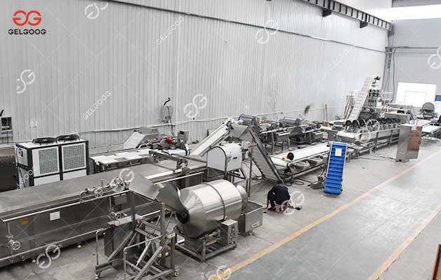 frozen-peas-processing-plant-cost