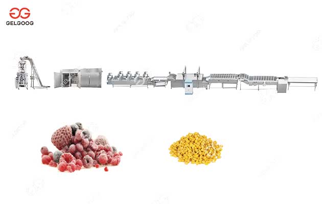 frozen-vegetable-processing-line-for-sale