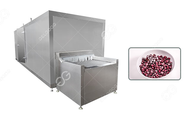 Pomegranate-Processing-Line