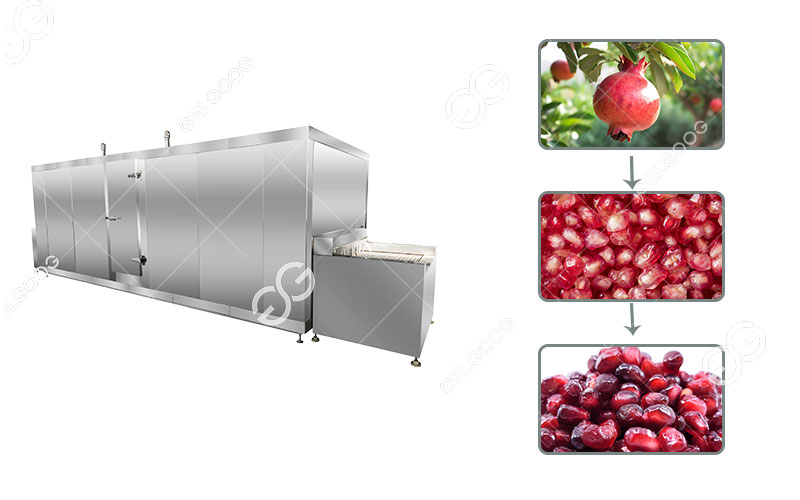frozen-pomegranate-processing-line