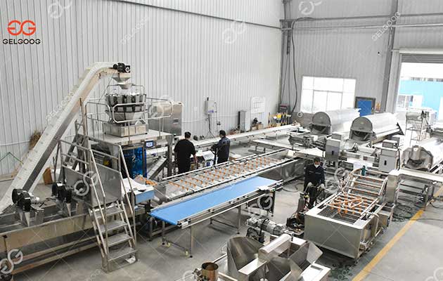 frozen-peans-processing-plant
