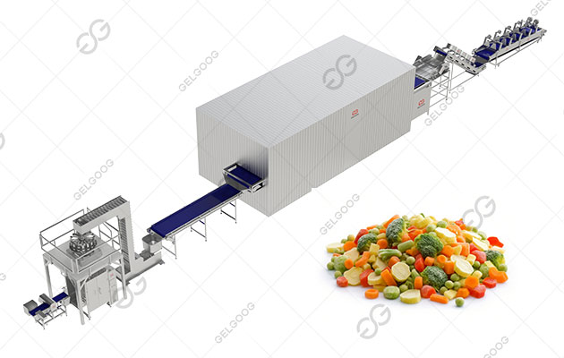 IQF-processing-line-for-vegetable