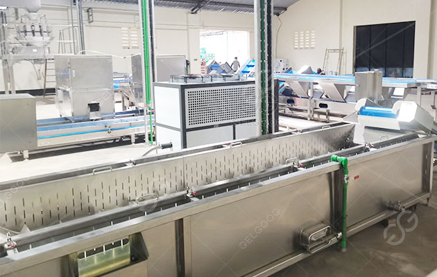 Frozen-Vegetable-Processing-Line-Exported-To-Tunisia