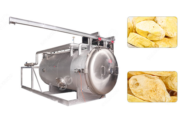 Durian-Freeze-Drying-Equipment