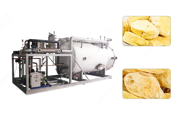Durian-Freeze-Drying-Machine Durian-Freeze-Drying-Machine