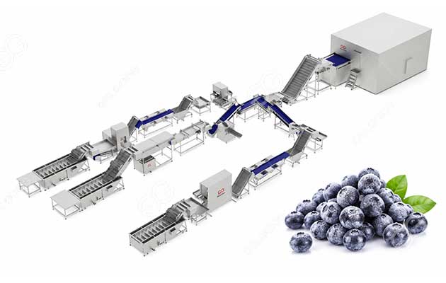 IQF-blueberry-processing-line